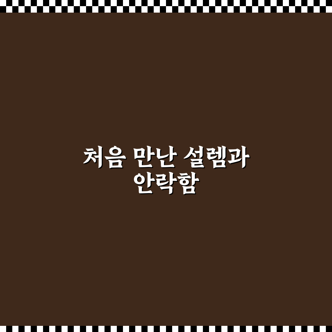 죽도 상화원 숙박가격 방문 후기, 직접 가보니 가성비는 어떨까