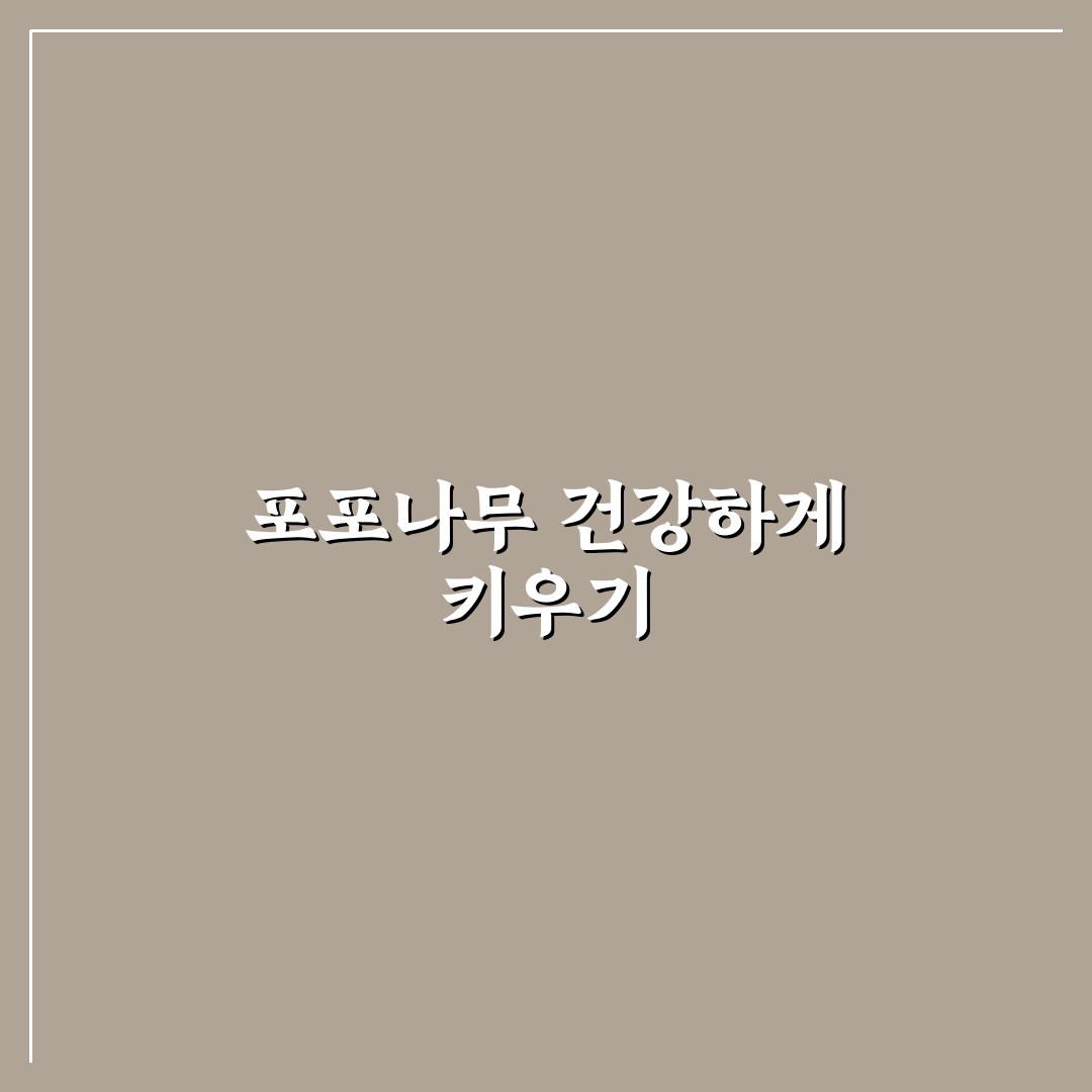 포포나무 수정방법 추천 초보자도 쉽게 배우는 꿀팁