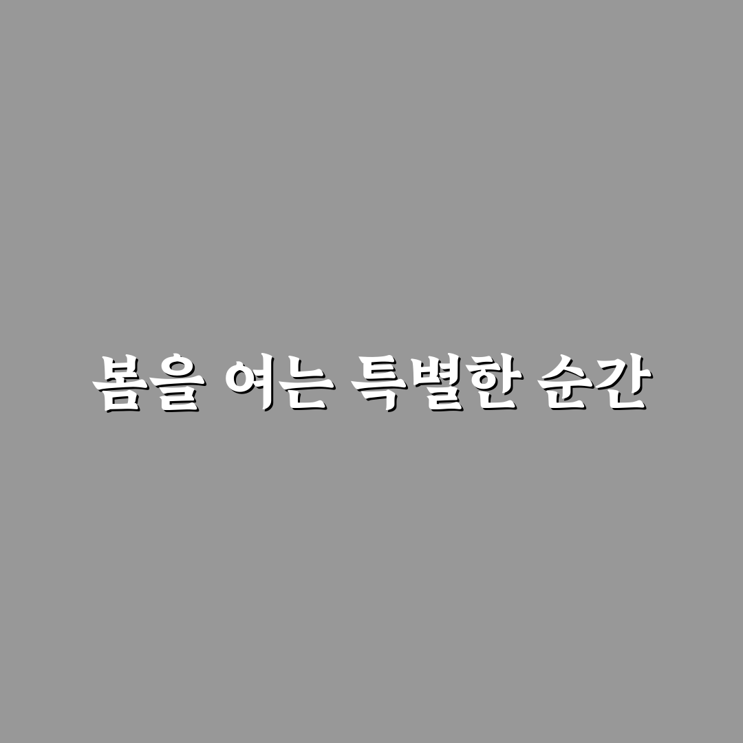 알리움 구근 직접 심어보니 관리와 생장 후기