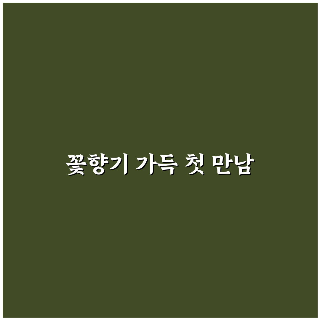신안 임자도 튤립 축제 방문 후기, 직접 가보니 풍경과 분위기
