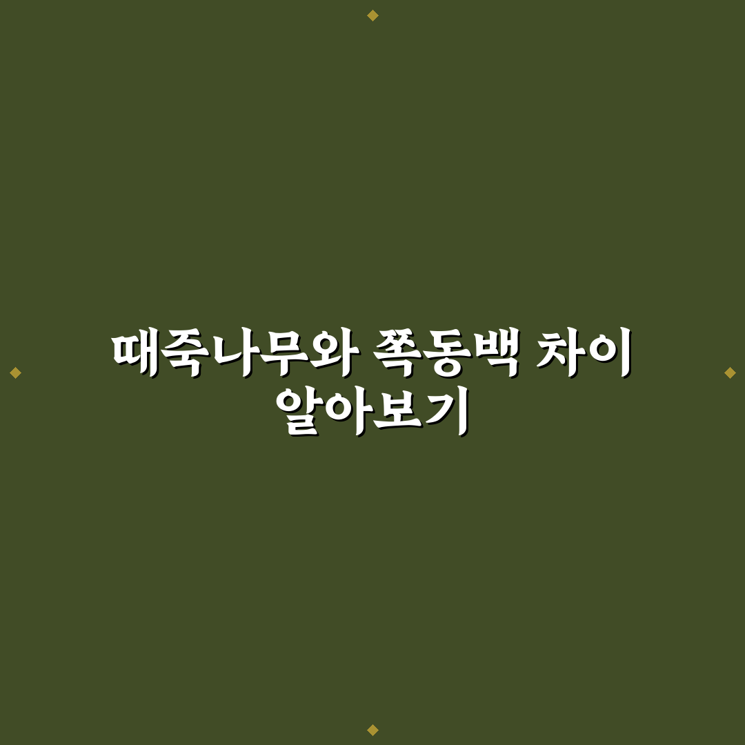 때죽나무 쪽동백 차이 쉽게 이해하는 추천 비교 팁