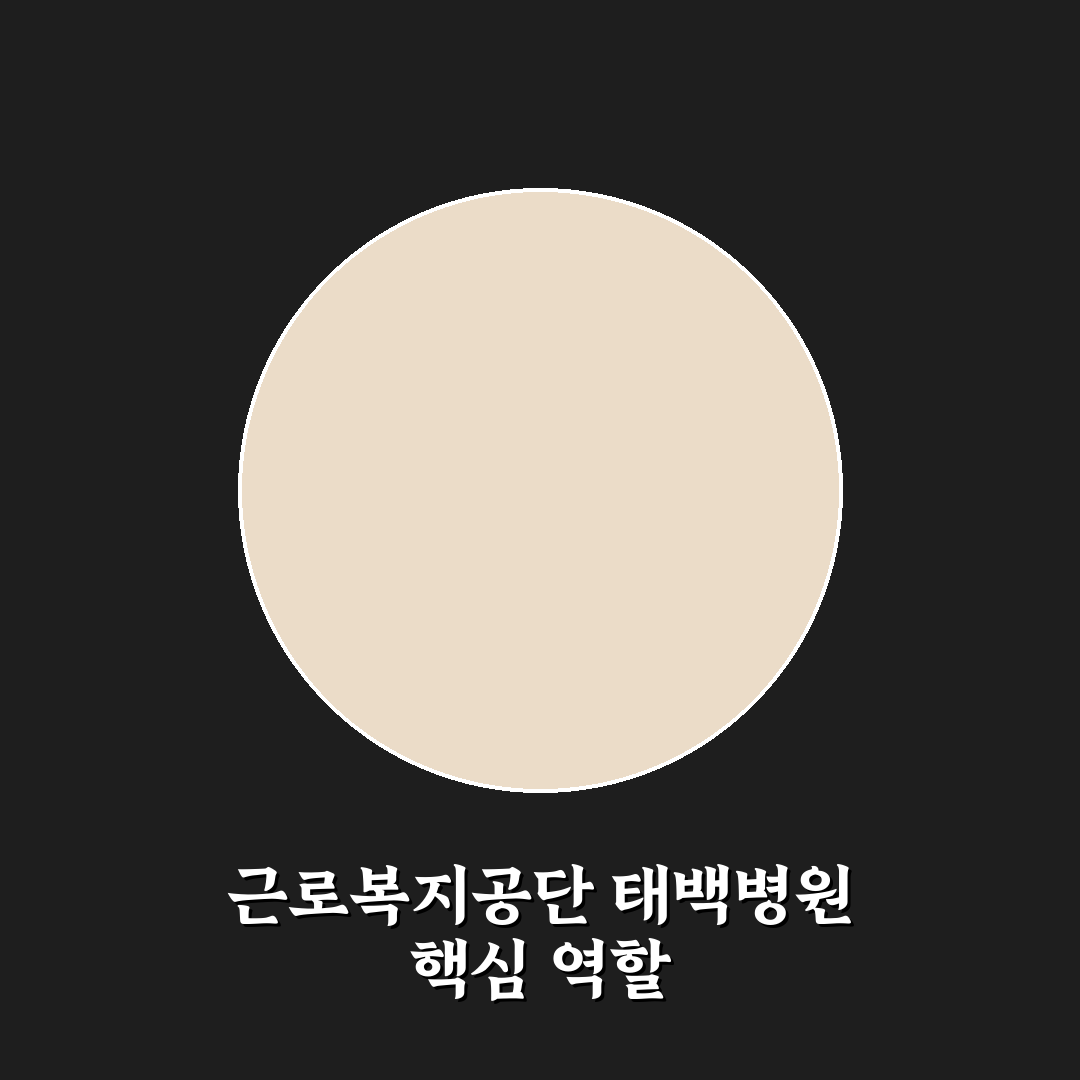 근로복지공단 태백병원 이용 꿀팁과 필수 정보 정리