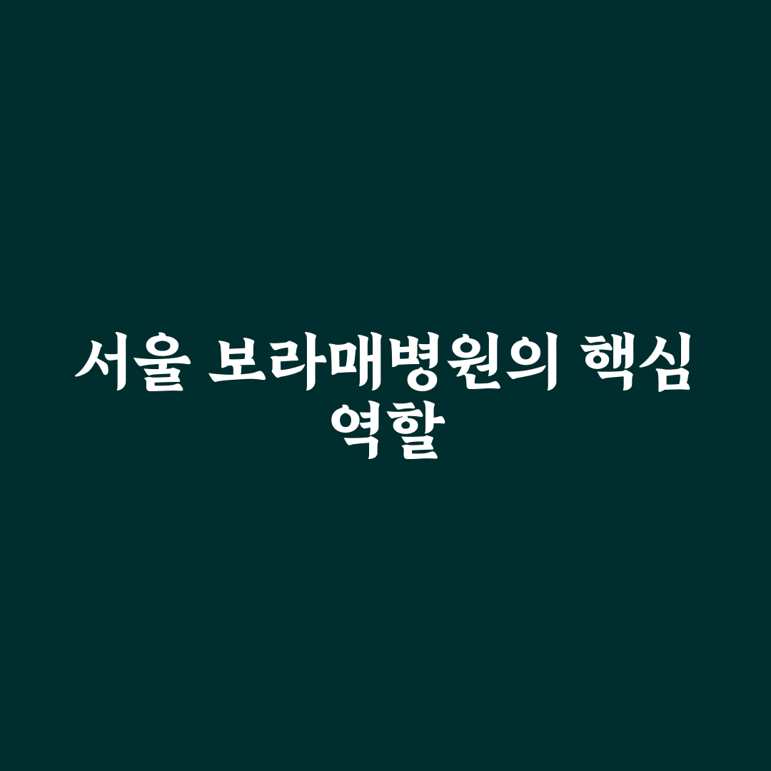 서울특별시 보라매병원 이용 꿀팁과 정보 쉽게 정리
