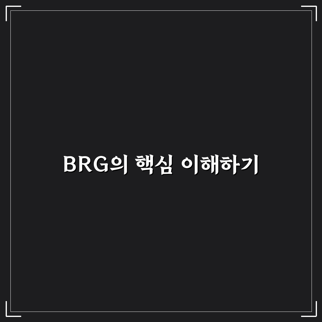 brg 뜻 쉽게 이해하는 방법과 핵심 정보 정리