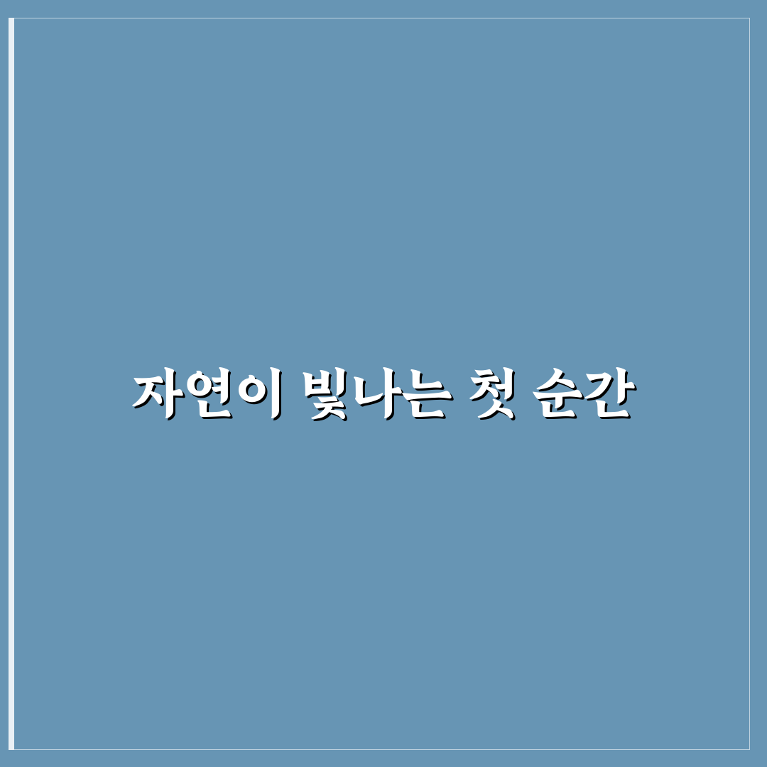 노랑해당화 방문 후기, 직접 가보니 느낀 점