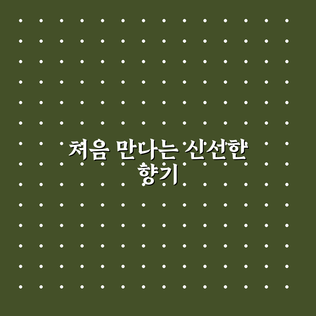 오목교 레몬버베나 방문 후기, 직접 가보니 어떤 곳인지