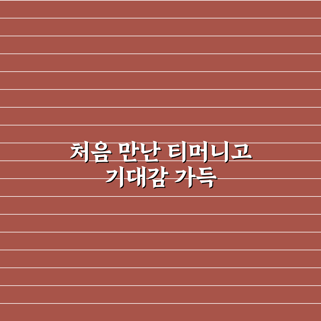 티머니고 예매취소 직접 이용해보니 불편했던 점