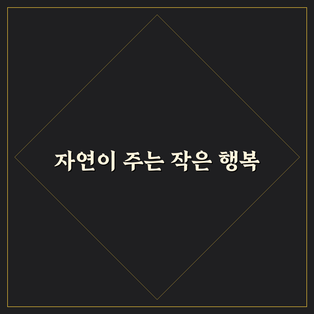 마가렛 꽃 키우기 후기, 직접 가꿔보니 알게 된 점들
