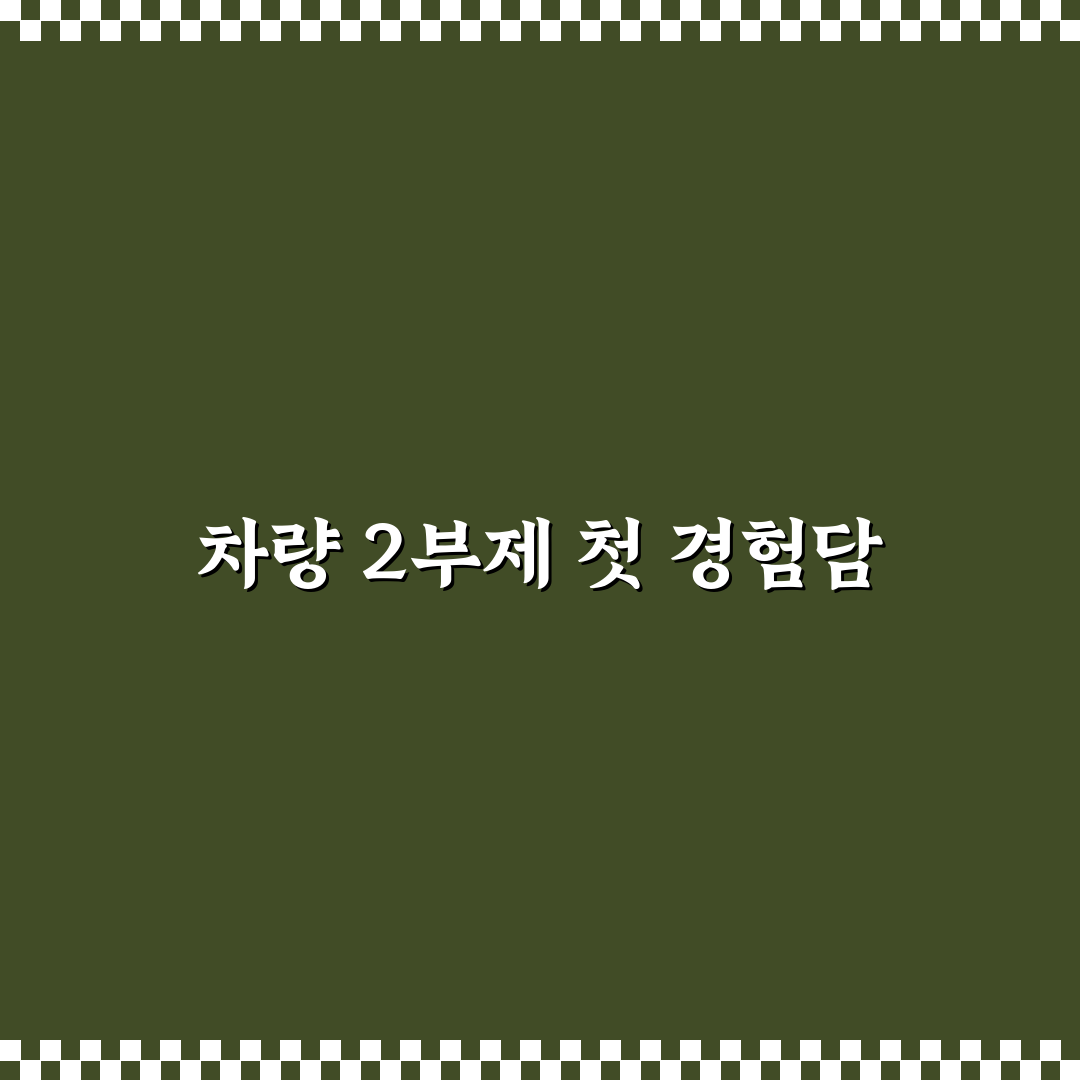 차량 2부제 홀짝 직접 알아보니 불편했던 점과 팁