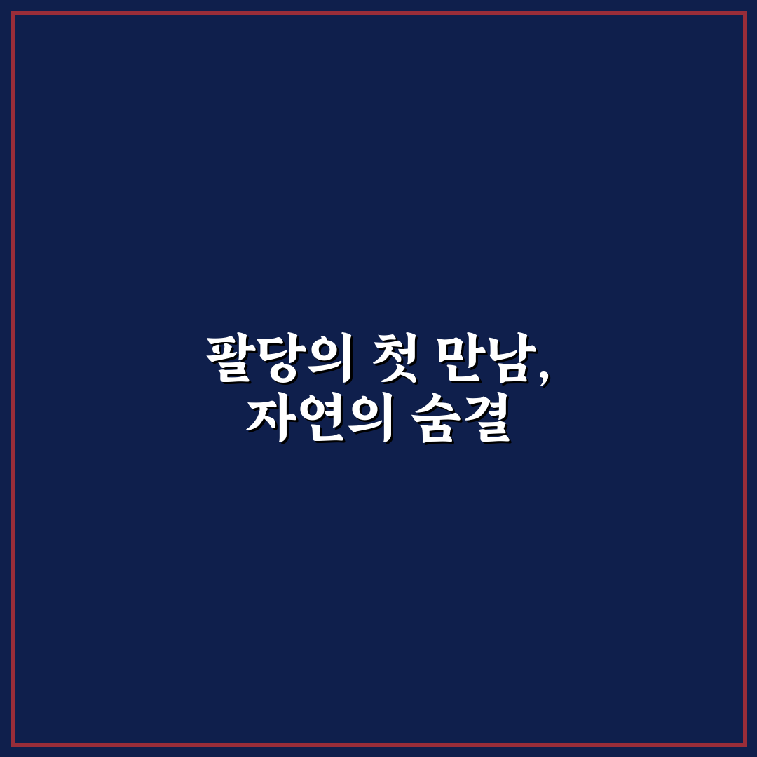 팔당 전망대 방문 후기, 실제 풍경과 분위기 체험기