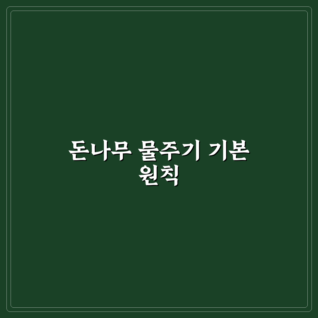 돈나무 물주기 간격 추천과 쉽게 이해하는 관리법