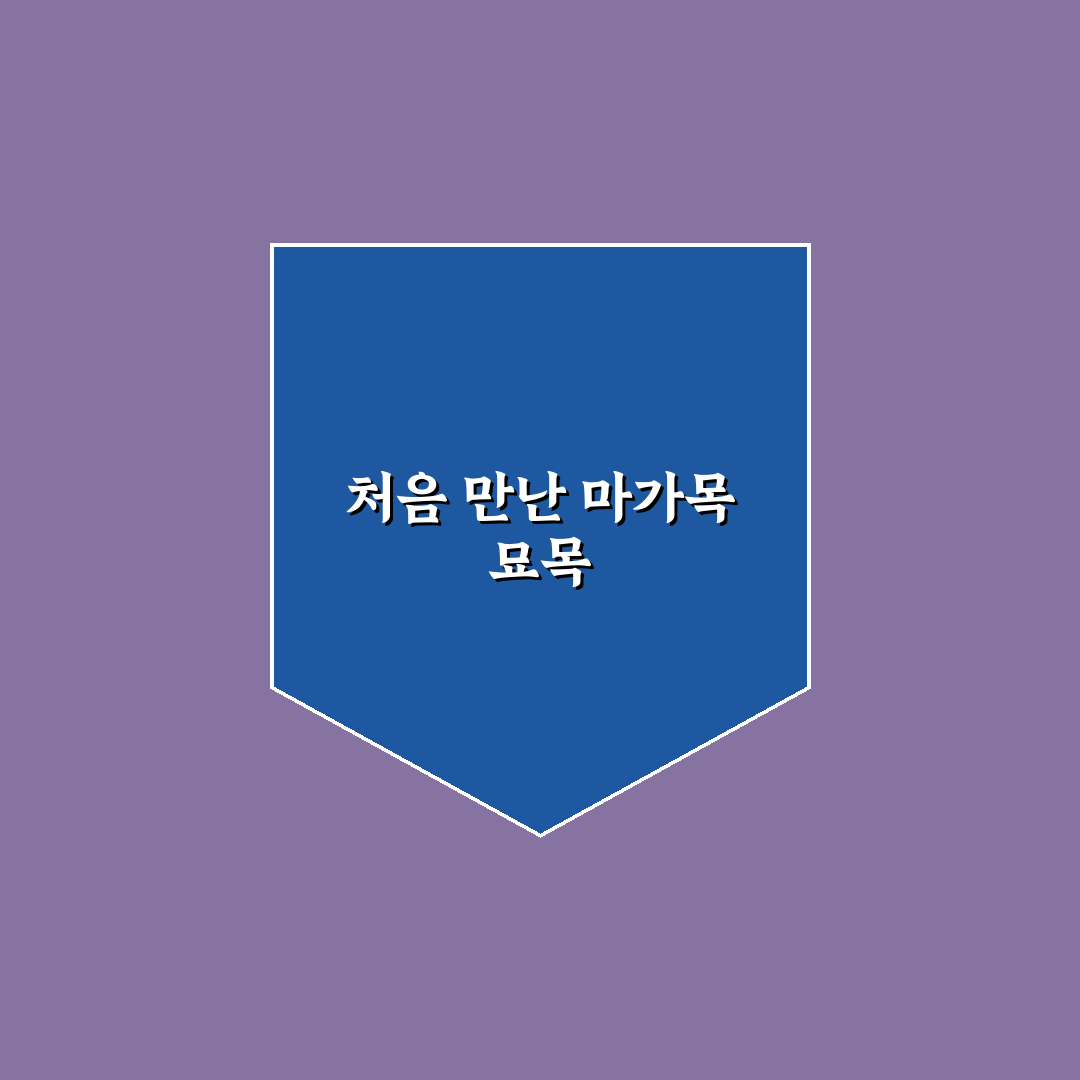 마가목 묘목 심는 시기 직접 알아보니 중요한 팁들