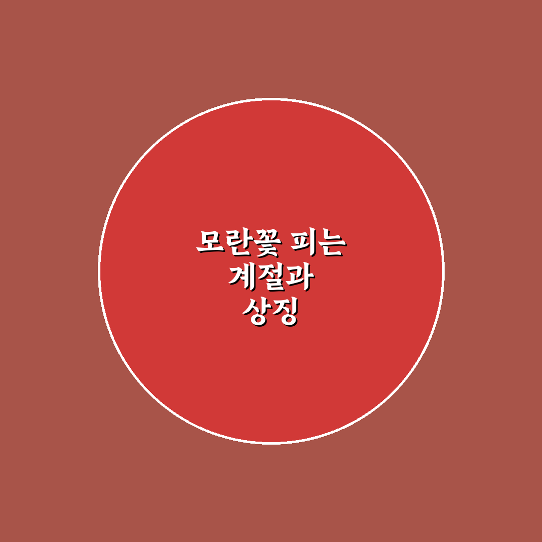 모란꽃 피는 시기와 특징 쉽게 알려드려요