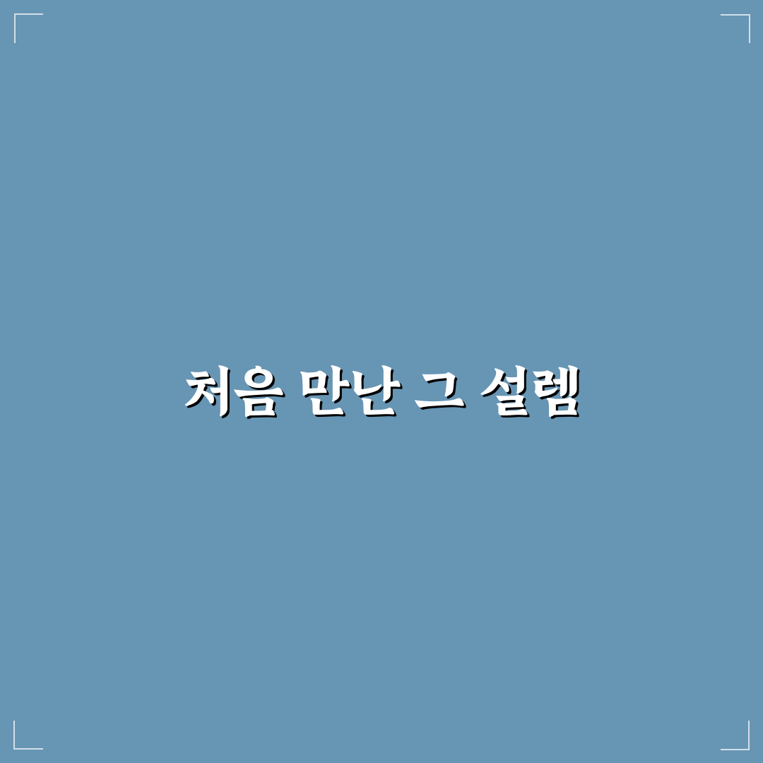 왕사남 ott 호랑이 사용 후기, 직접 이용해보니 느낌은