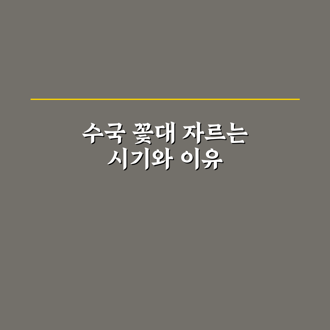 수국 꽃대 자르는 시기와 방법 초보자 꿀팁 정리