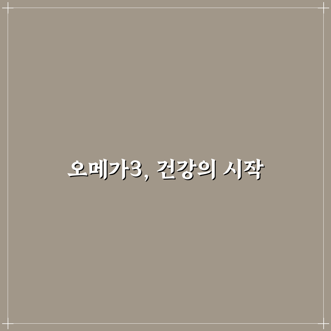 오메가3리섭취방법 추천 초보자도 쉽게 배우는 팁