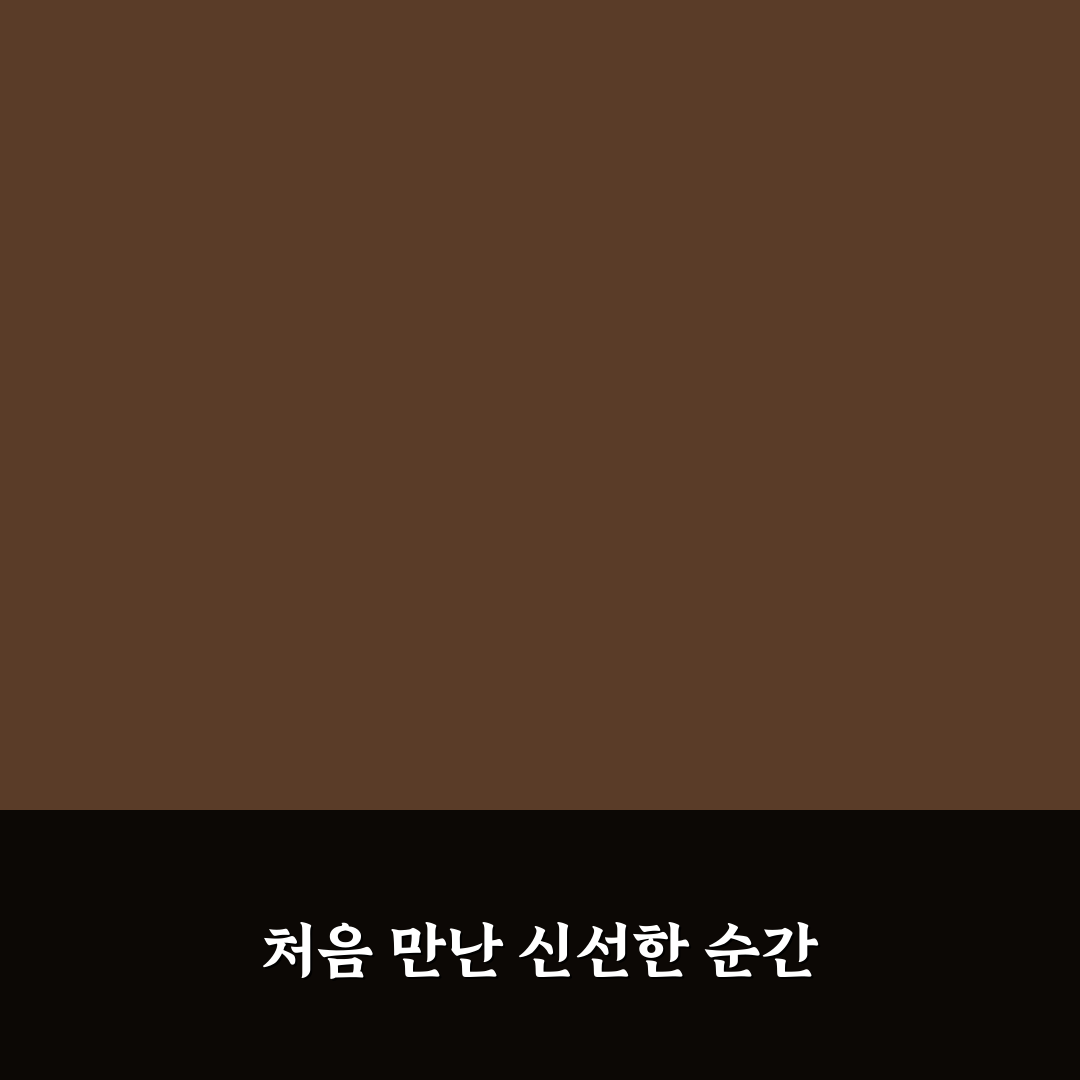 루꼴라 보관법 직접 알아보니 신선함 유지가 쉽지 않았어요
