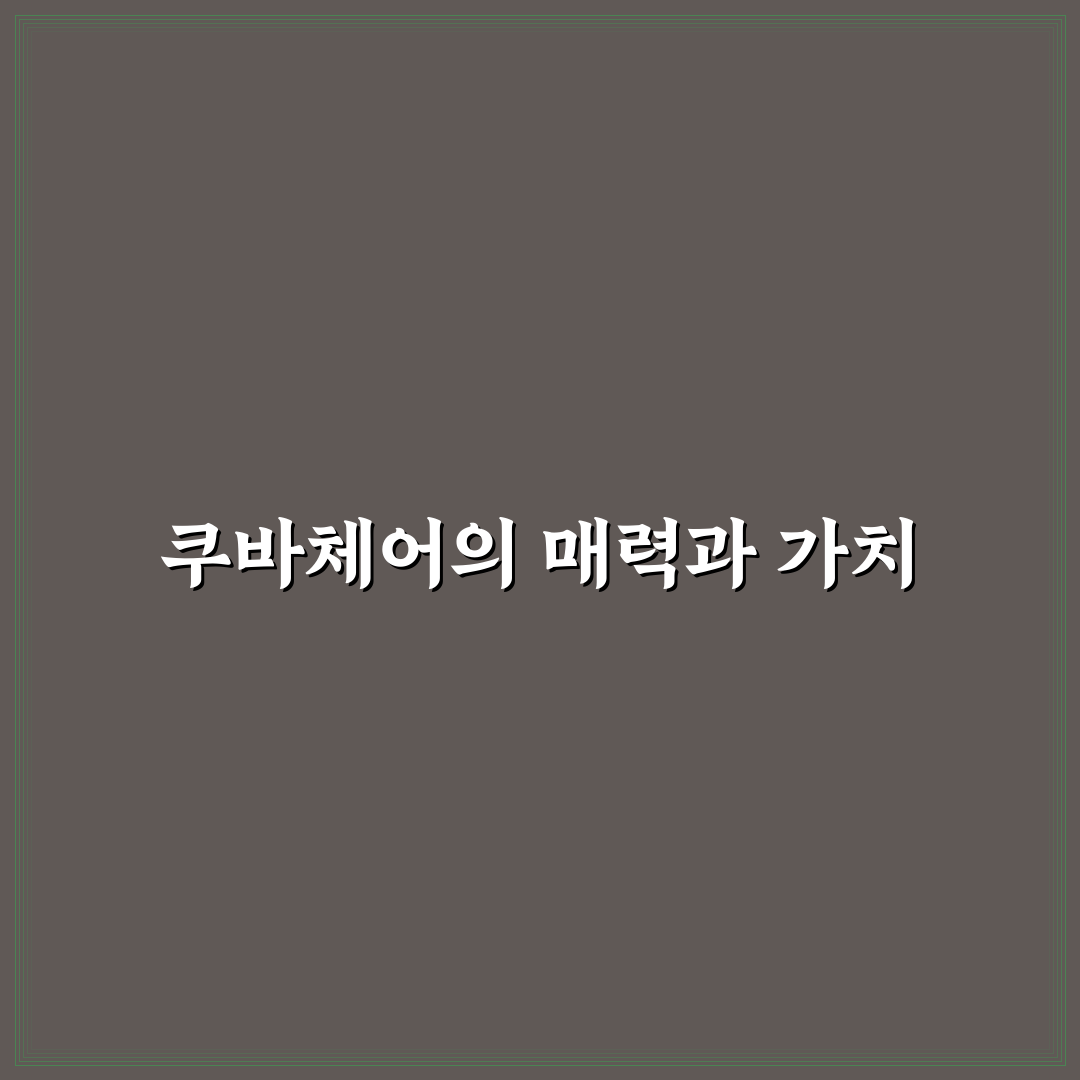 쿠바체어 사용법과 관리 꿀팁 쉽게 알려드려요