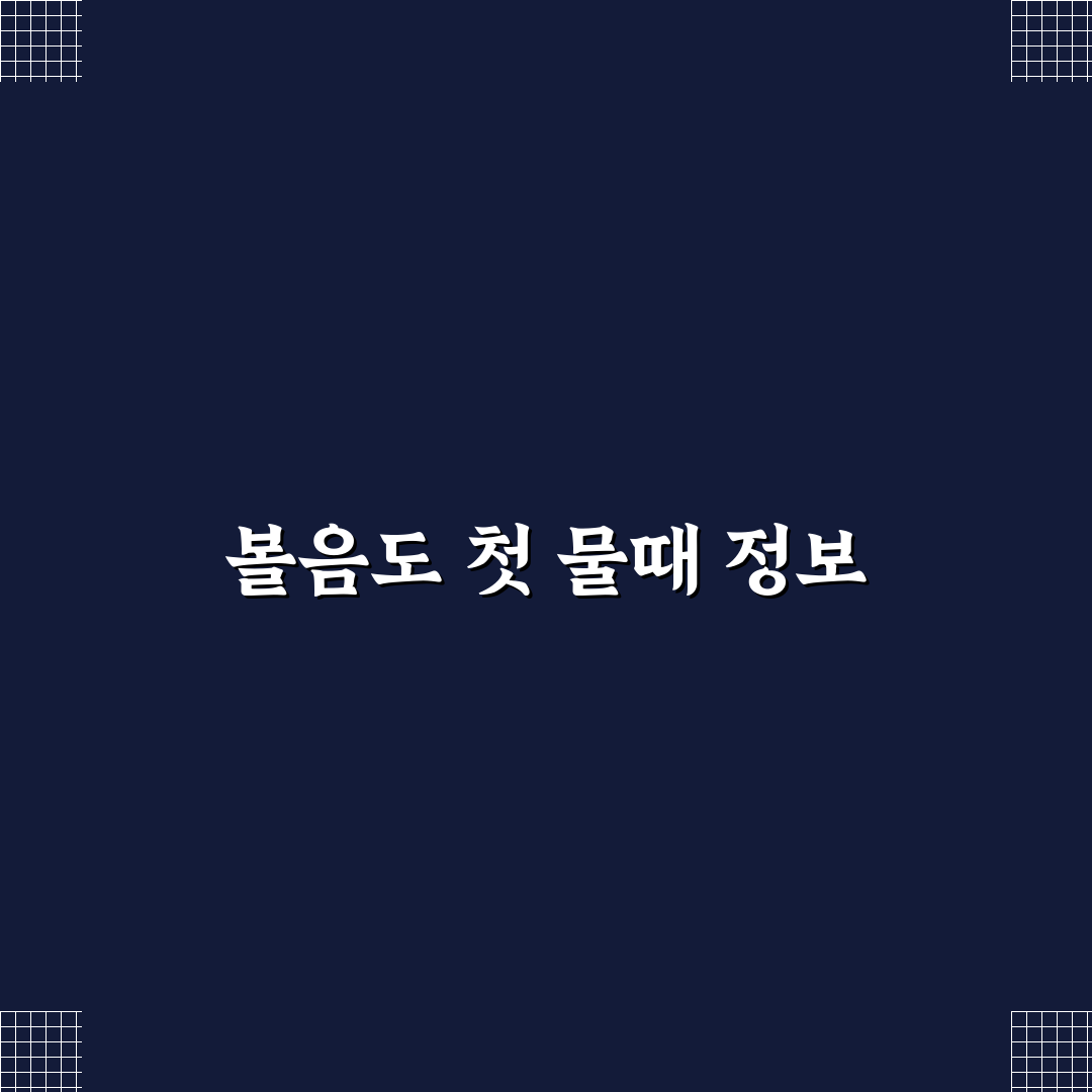 볼음도 물때 방문 후기, 직접 가보니 느낀 점들