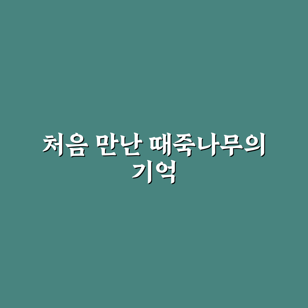 때죽나무 포토 방문 후기, 직접 가보니 풍경과 느낌은