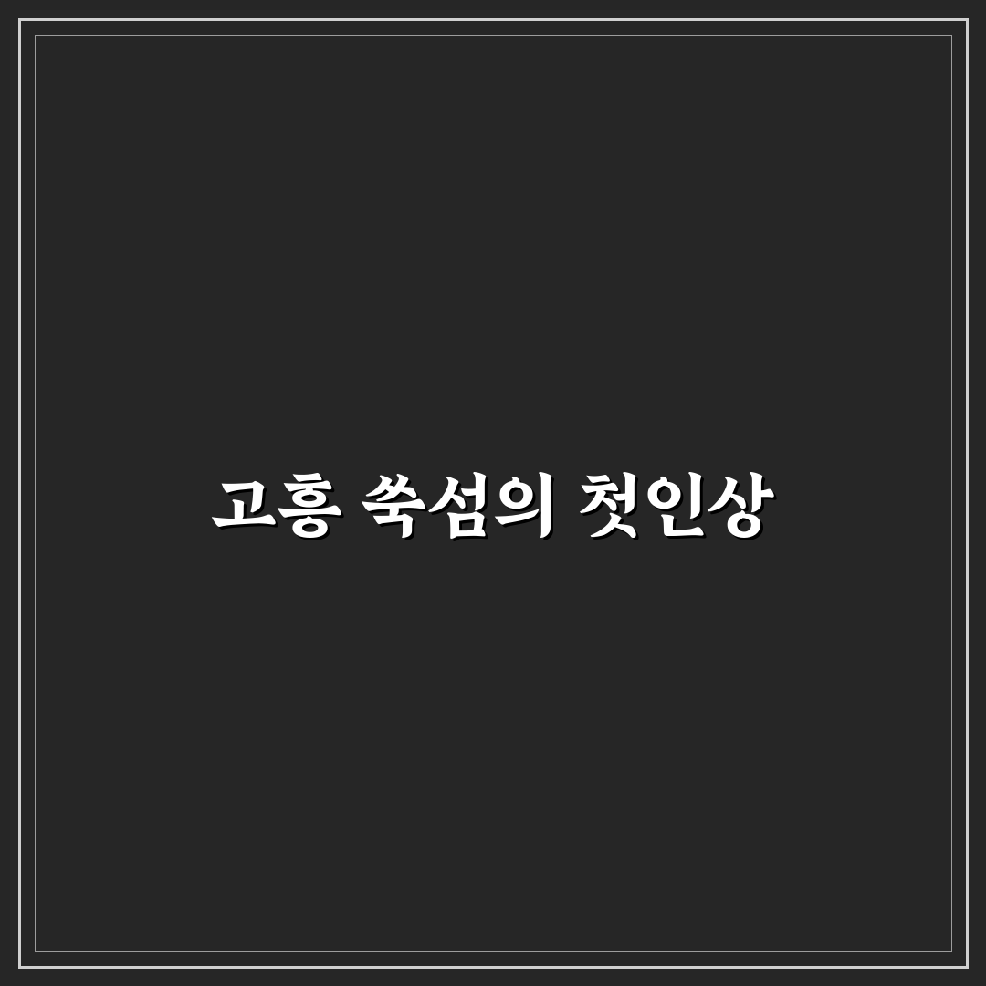 고흥 쑥섬 수국축제 방문 후기, 직접 가보니 풍경과 분위기