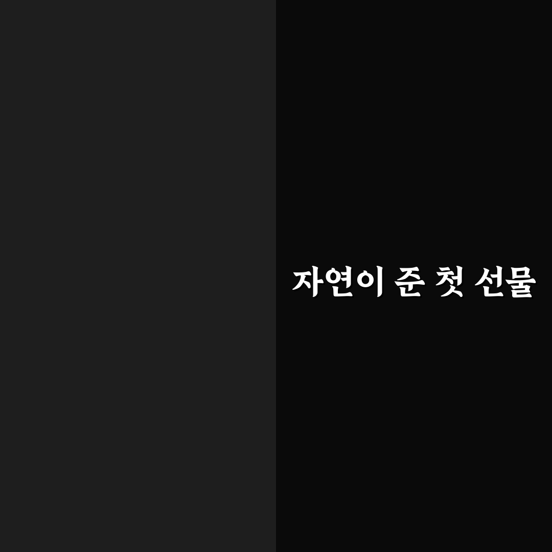 지면패랭이꽃 씨앗 직접 심어보고 자란 후기
