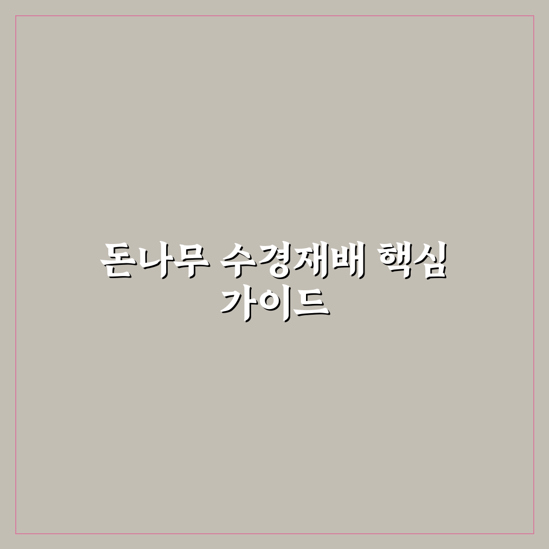 돈나무 수경재배 방법과 꿀팁 쉽게 알려드려요