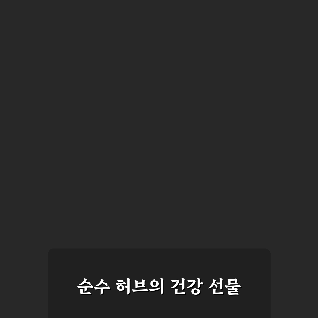 녹차원 캐모마일 허브차 효과와 선택 꿀팁 알려드려요