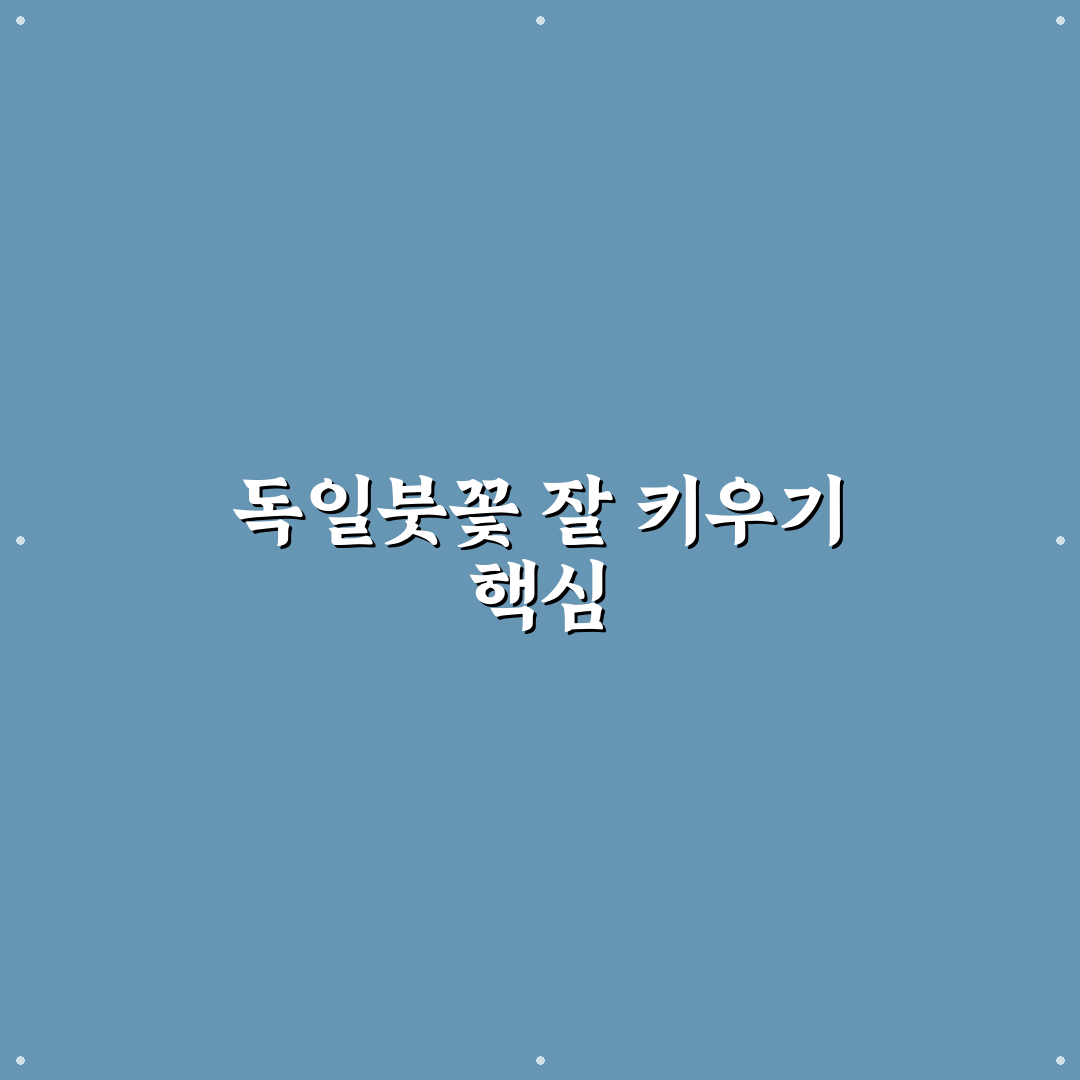 독일붓꽃 키우기 방법과 초보자 꿀팁 정리