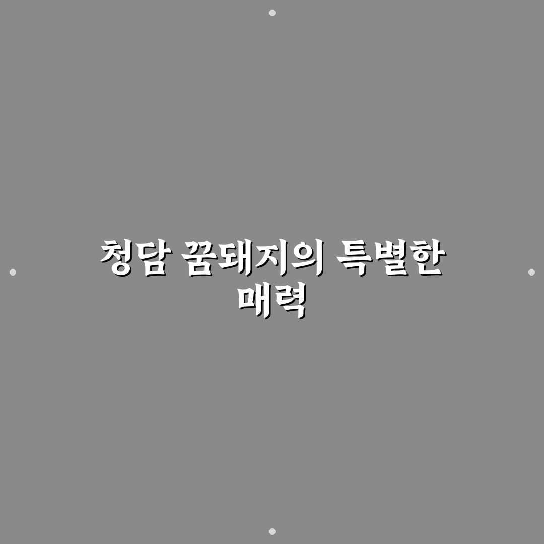 청담 꿈돼지 이용 방법과 방문 전 꿀팁 공유