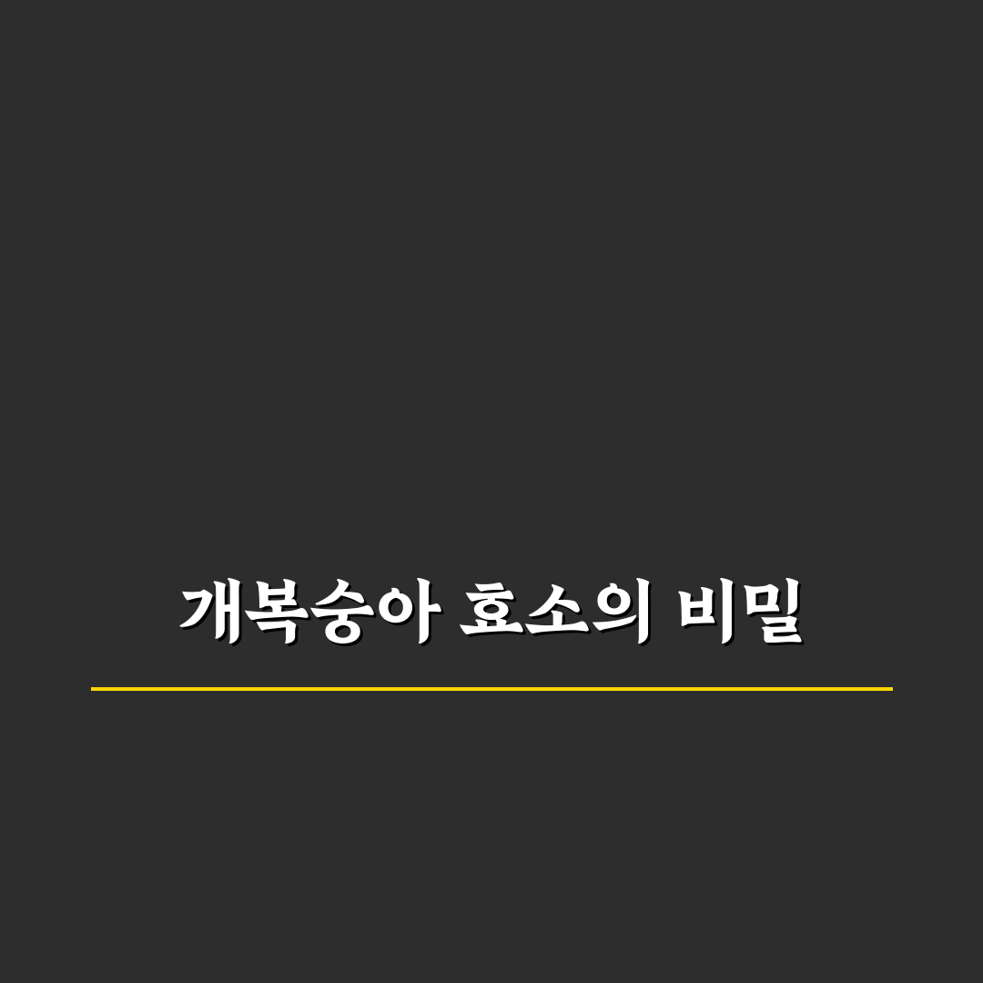 개복숭아효소효능과 건강관리 꿀팁 쉽게 알려드려요