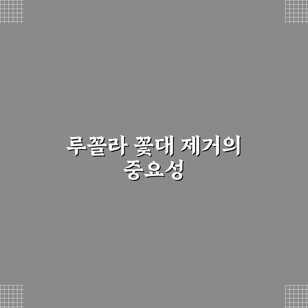 루꼴라 꽃대 제거방법과 꿀팁 쉽게 알려드려요