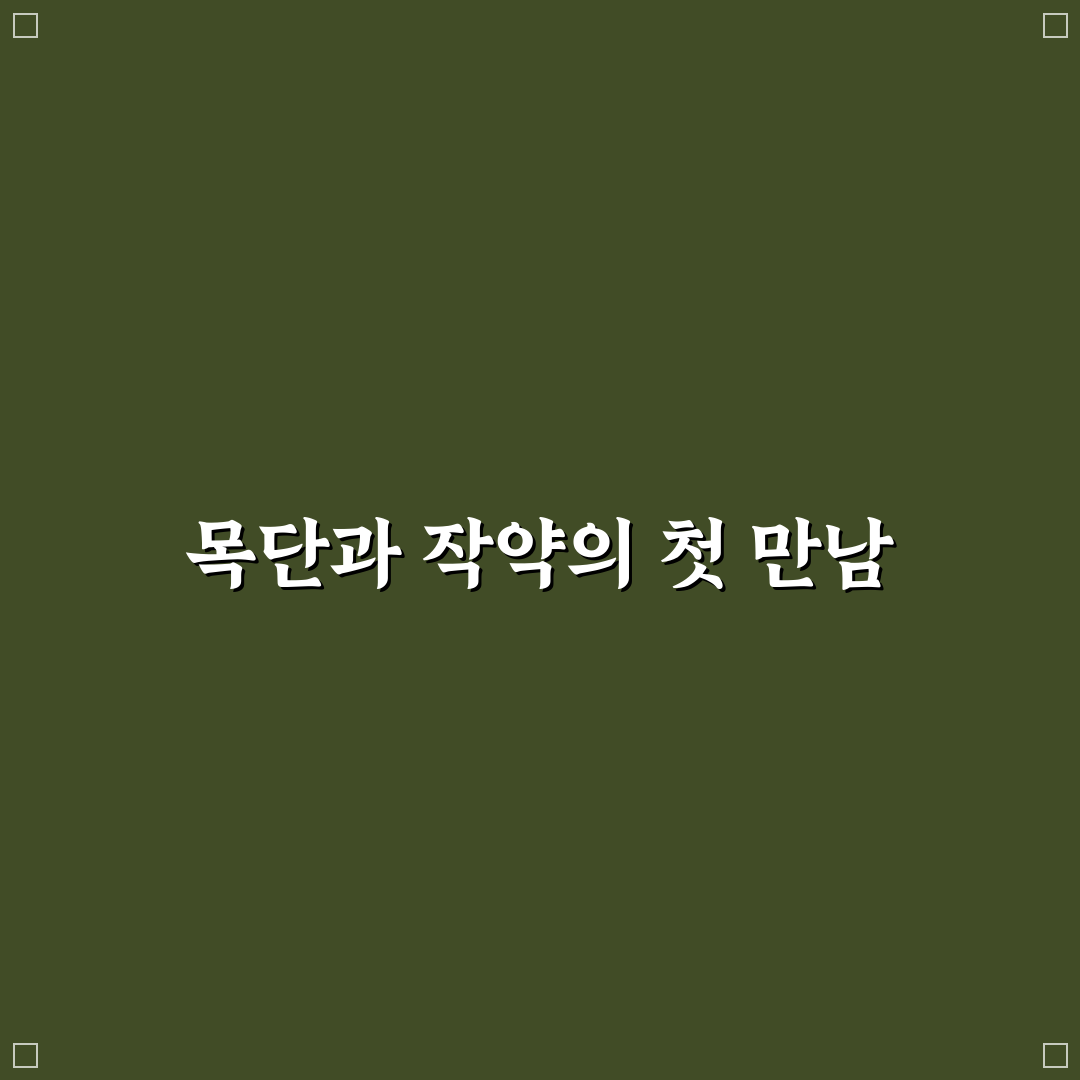 목단과 작약 차이, 직접 알아보니 달라진 점들