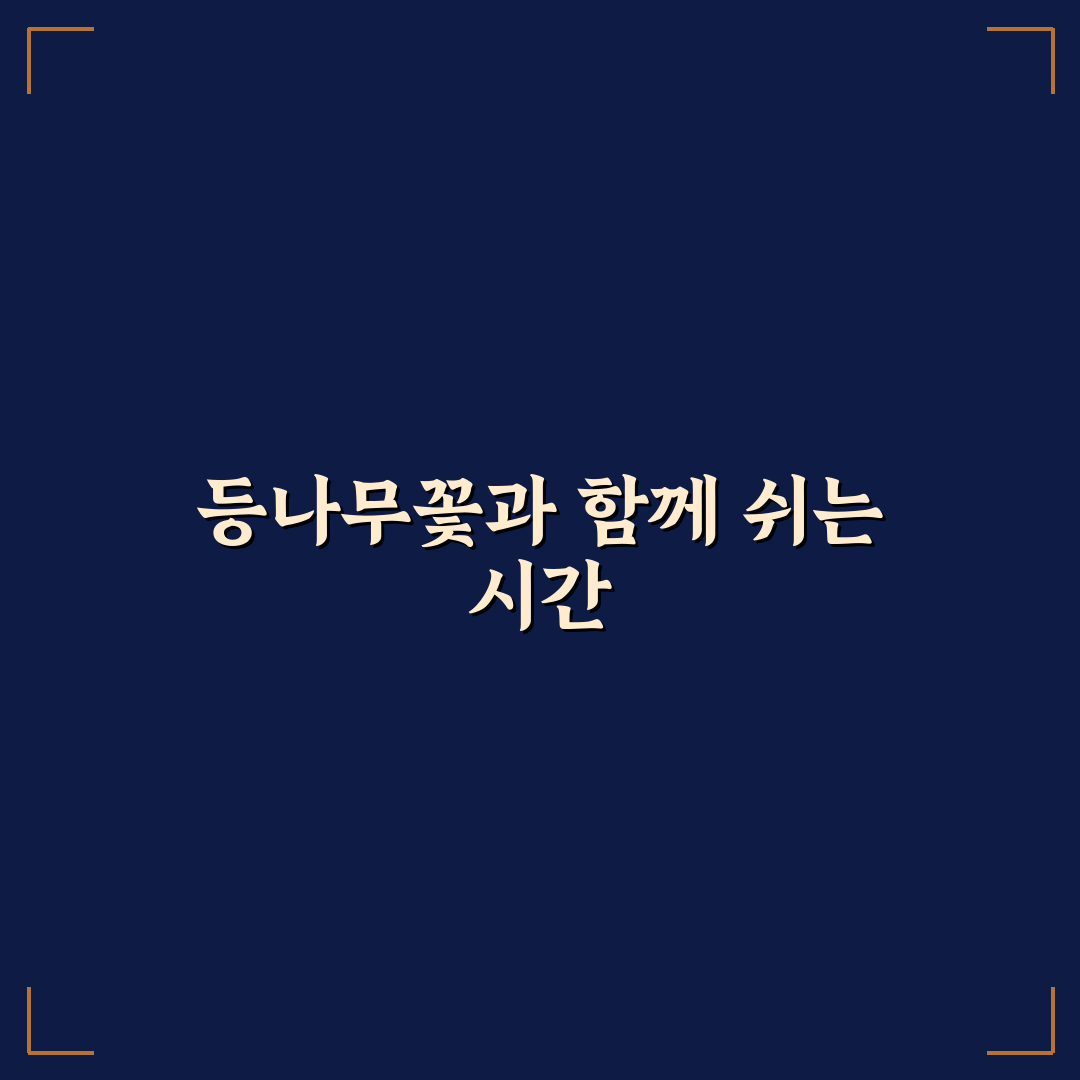 등나무꽃 캠핑장 방문 전 알아두면 좋은 꿀팁 정리