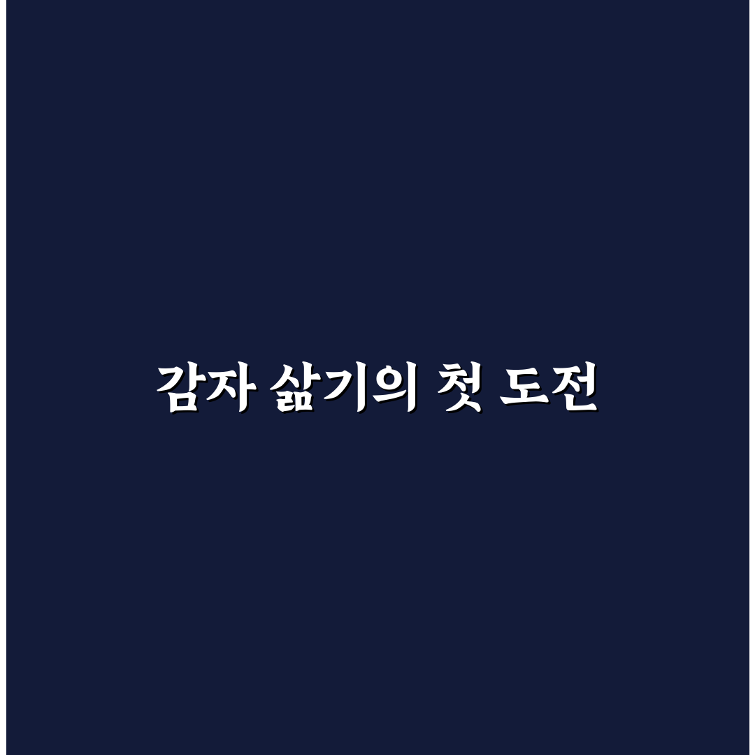 포슬포슬 감자 삶는법, 직접 해보니 달라진 식감 후기