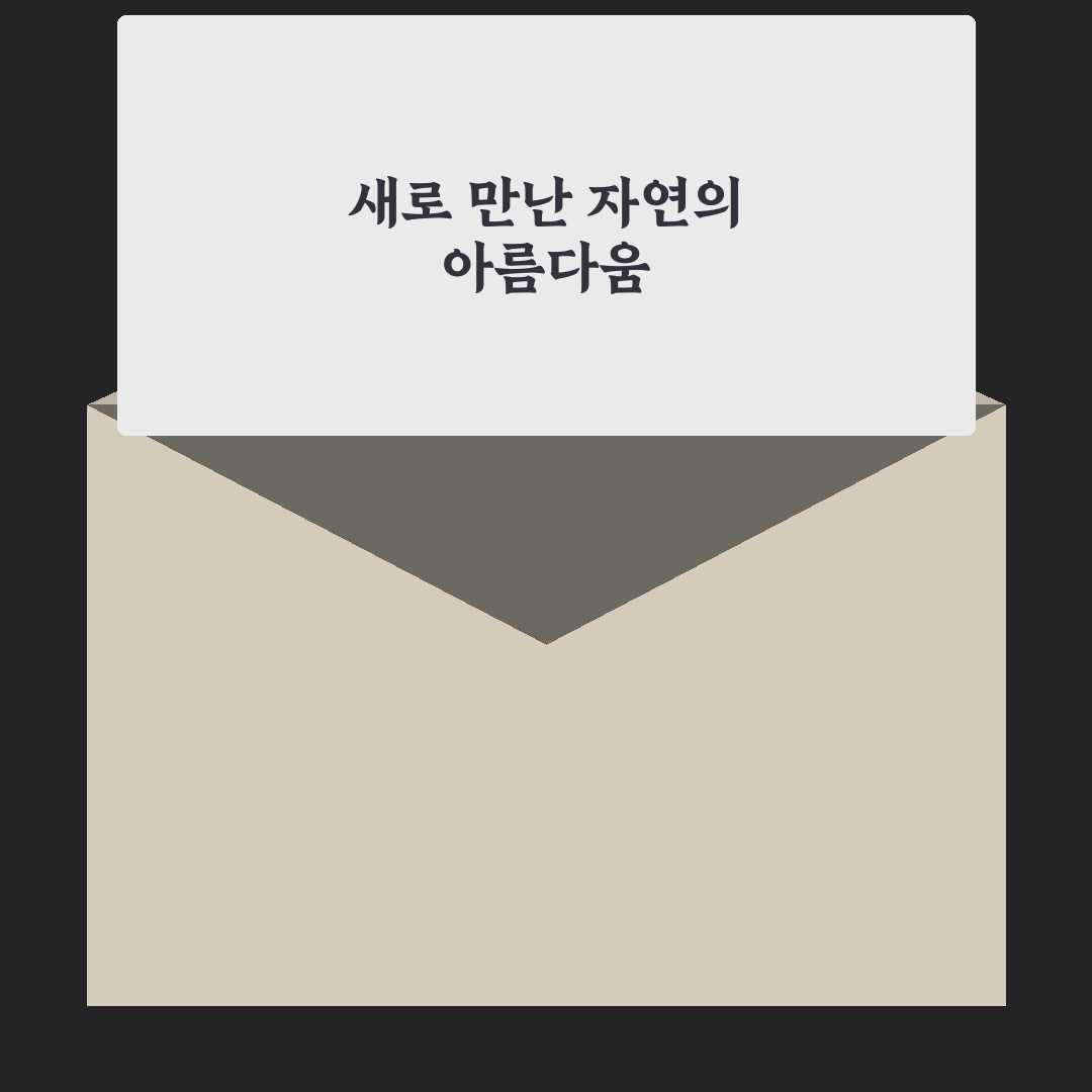 나리와꽃창포 방문 후기, 직접 가보니 분위기와 볼거리