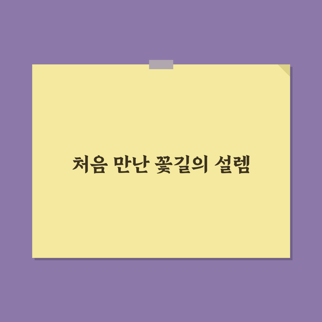 거제 수국 개화 방문 후기, 직접 가보니 풍경과 분위기