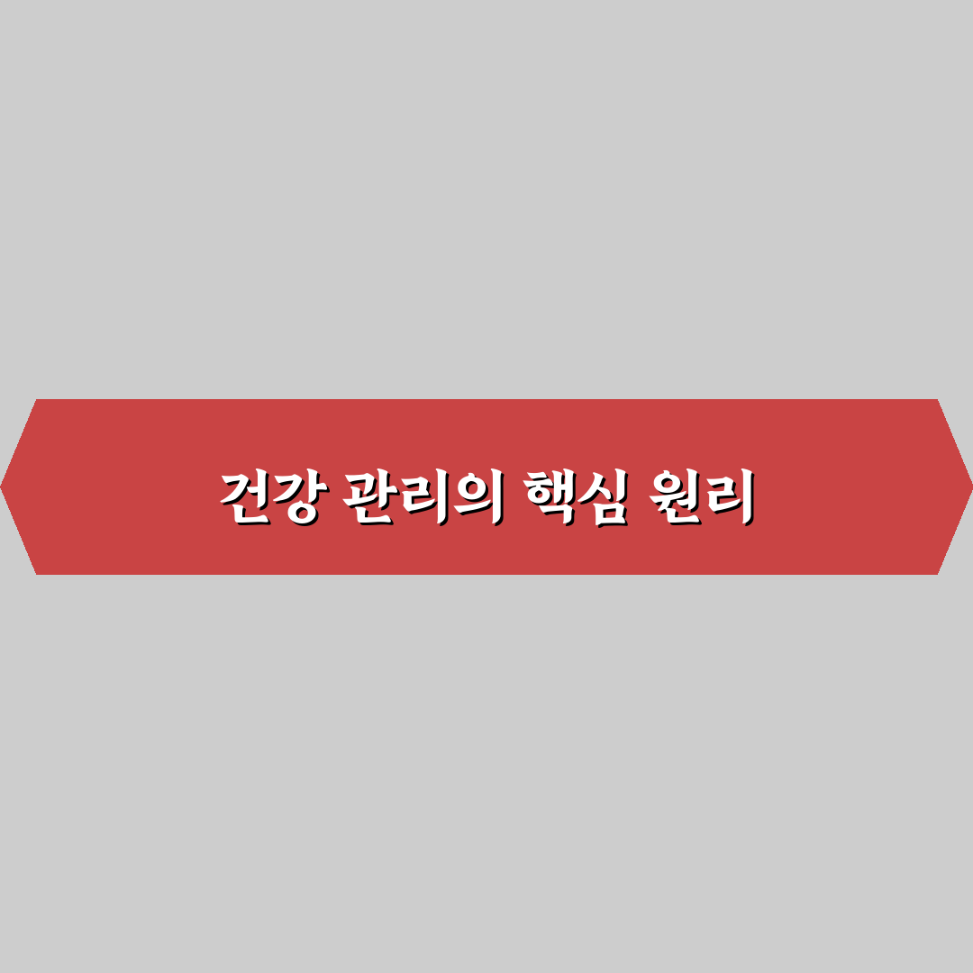 더마 콜라겐 비오틴 맥스 섭취법과 효과 꿀팁 알려드려요