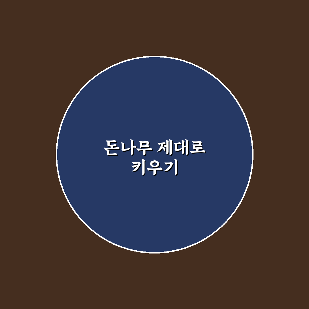 돈나무 키우기우는법 추천 초보도 쉽게 따라하는 팁