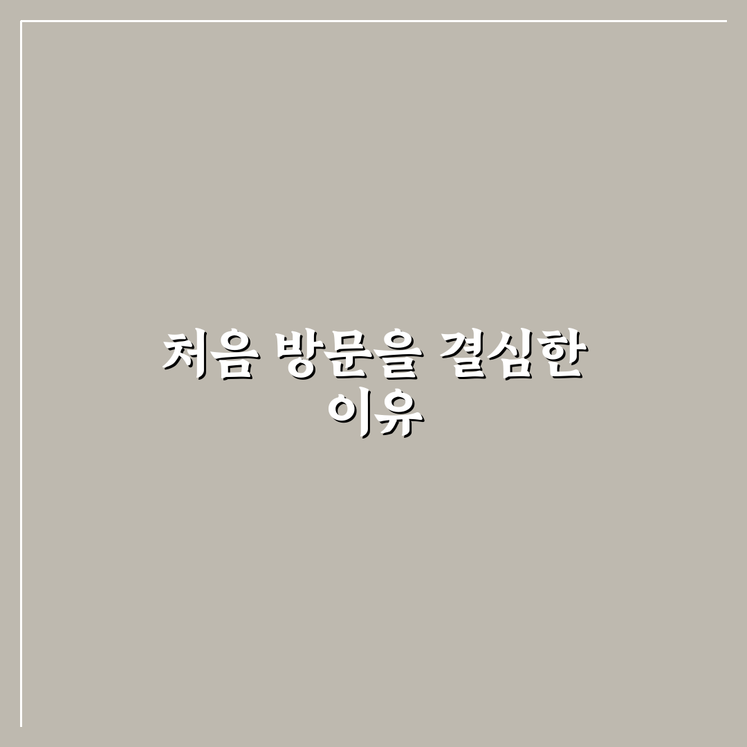 서두산딤섬 잠실 방문 후기, 직접 가보니 맛과 분위기