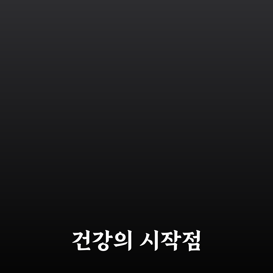 검정 렌틸콩 효능 직접 알아보니 느낀 변화점