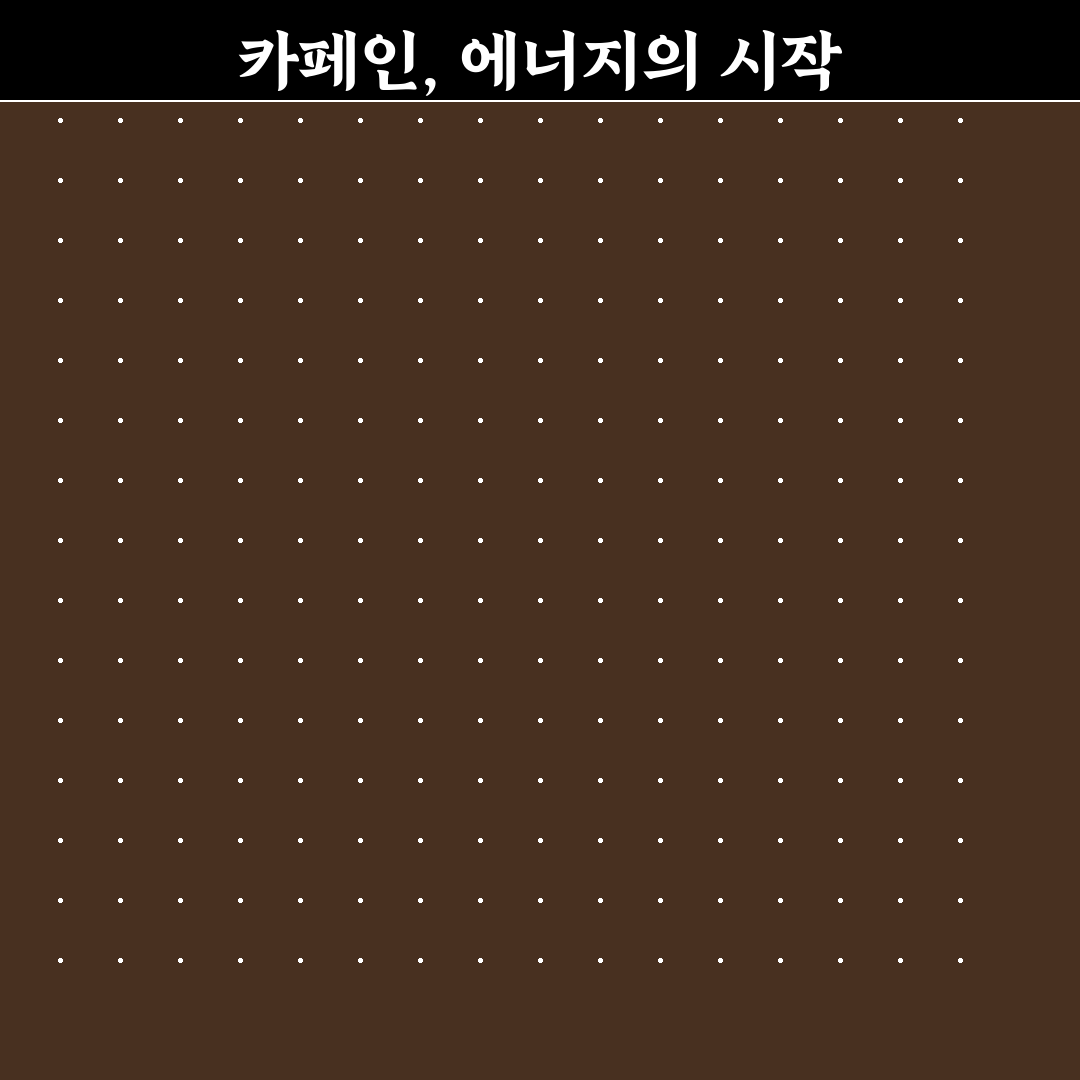 메가커피 할메가커피 카페인 함량과 특징 정리해드려요