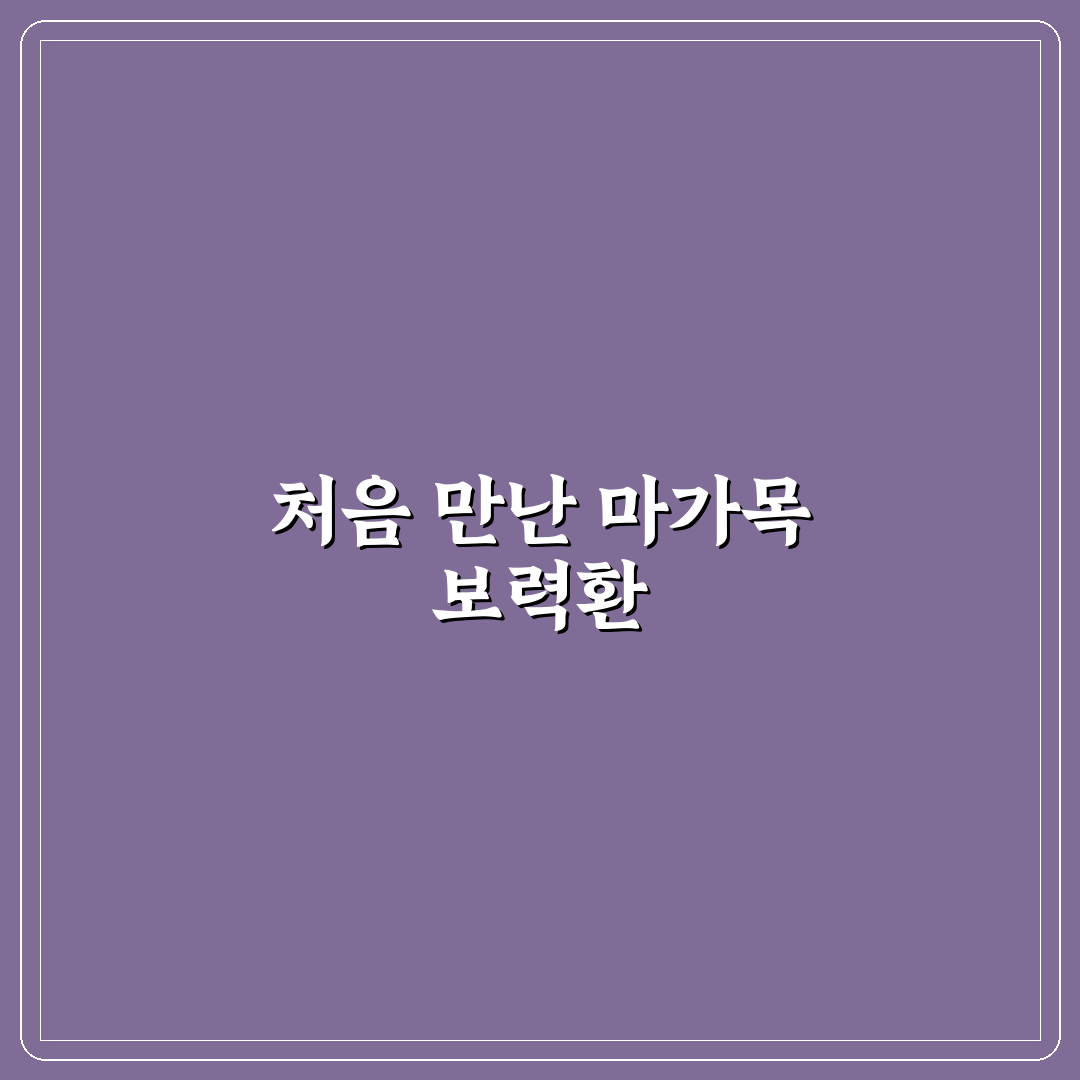 마가목 보력환 사용 후기, 직접 써보니 알게 된 점