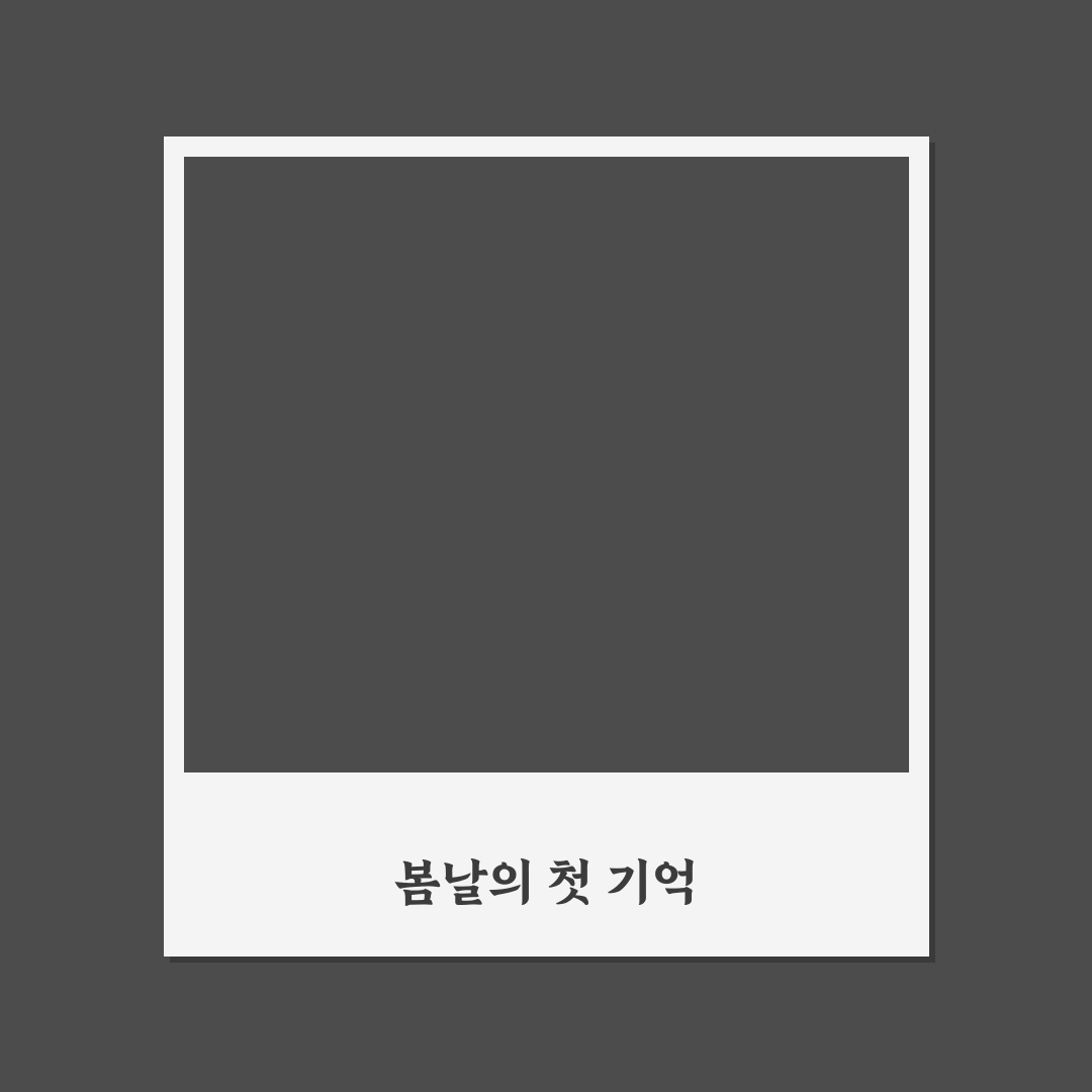 강원도 데이지 꽃밭 방문 후기, 직접 가보니 분위기와 볼거리