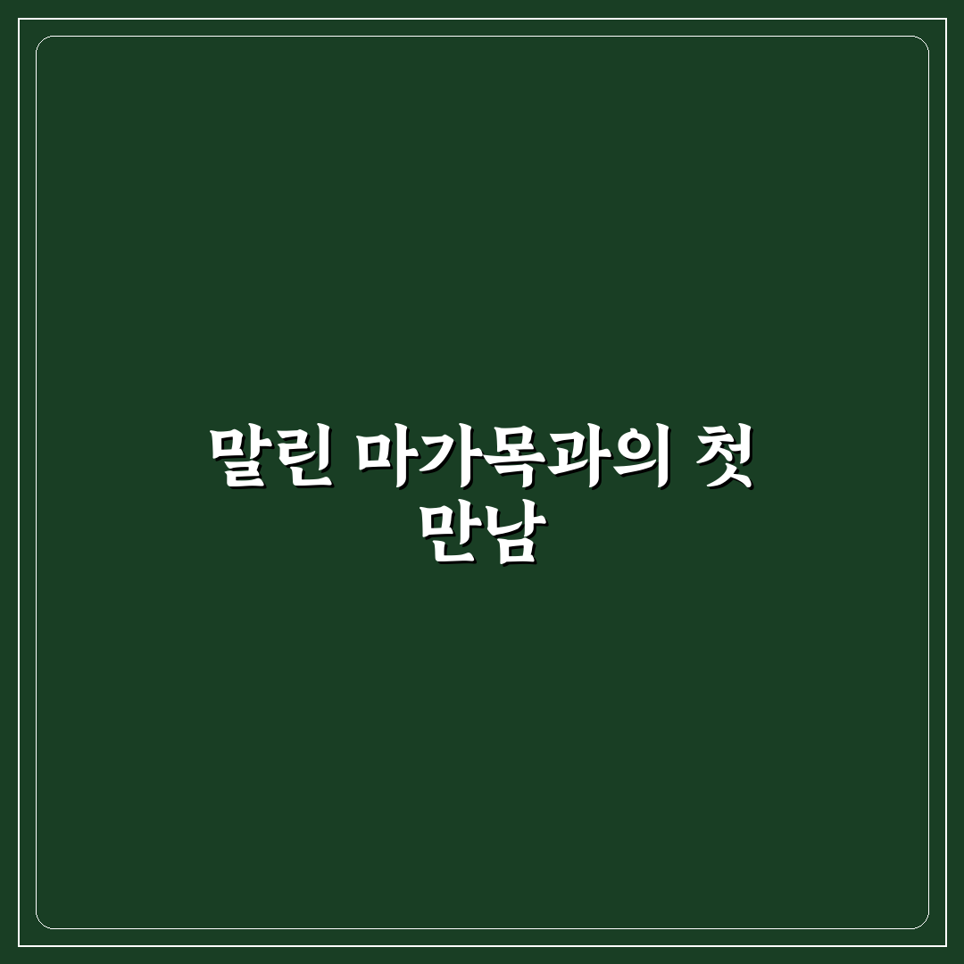 말린 마가목 선별 직접 해보니 생각보다 까다로웠어요
