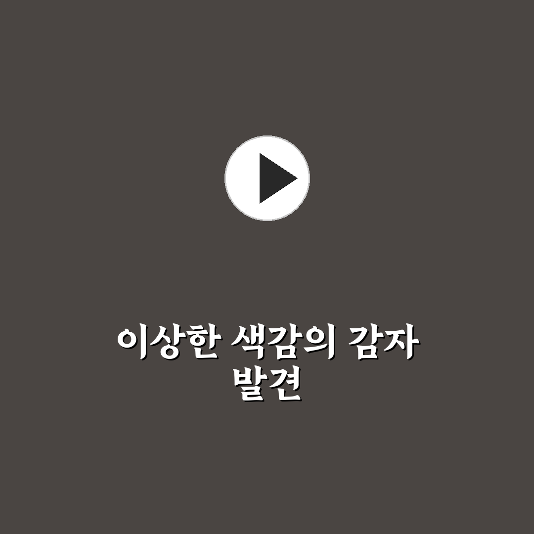 감자 녹색빛 직접 알아보니 먹어도 되는지 궁금했어요