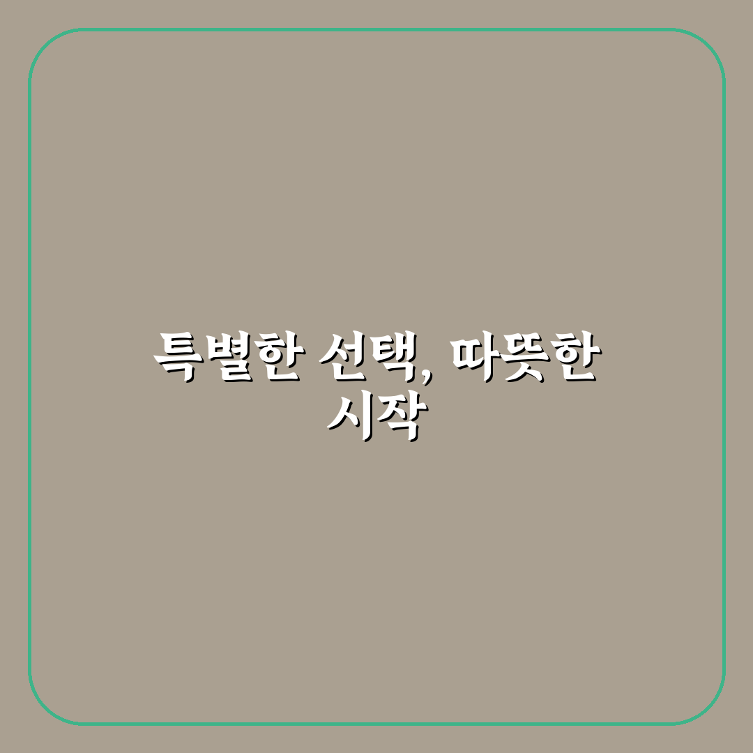무실동 샤브샤브 방문 후기, 깔끔한 맛과 분위기 경험기