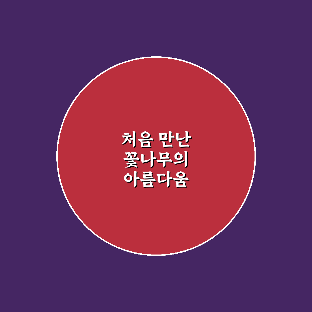 이팝나무 영어로 직접 알아보니 뜻과 표현법