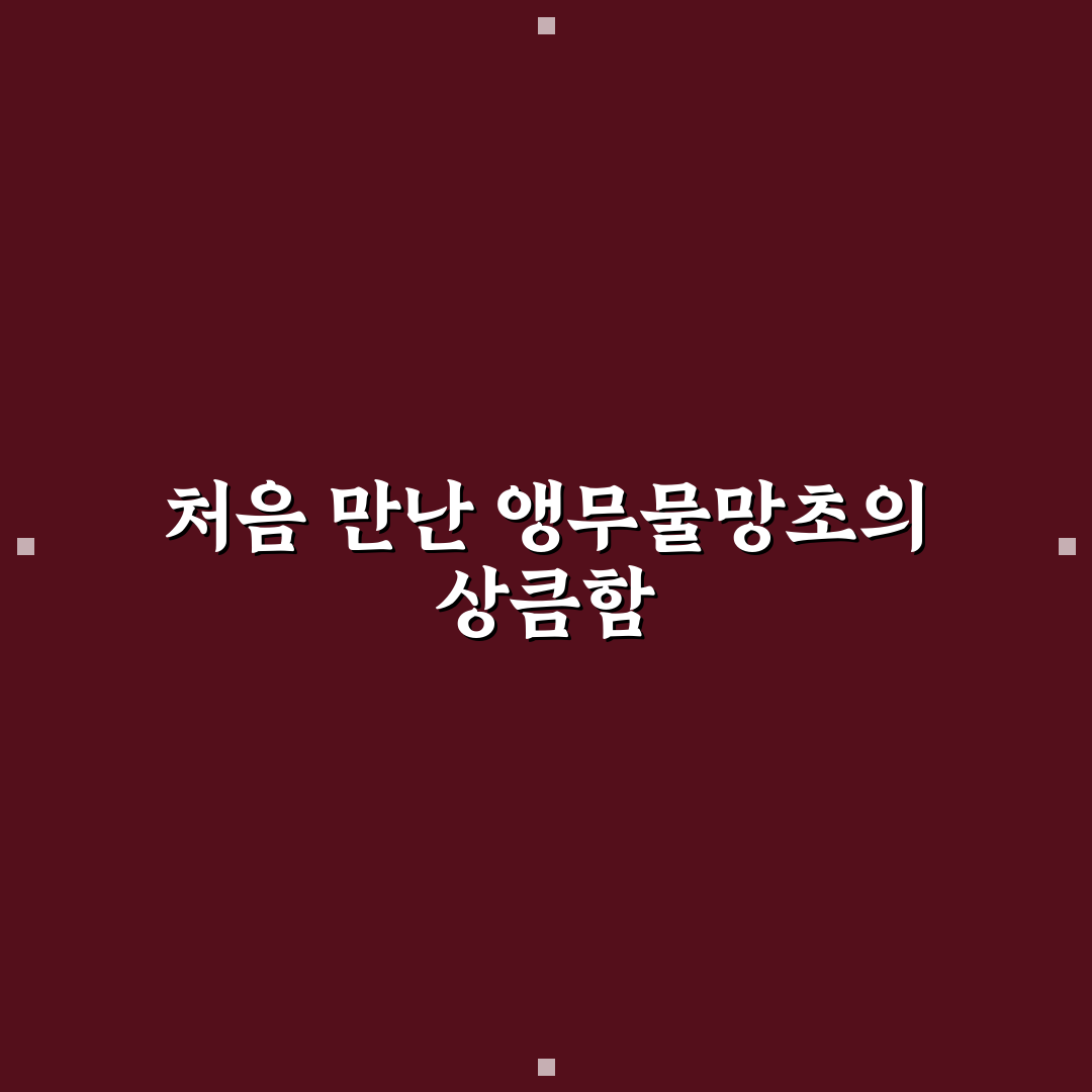 앵무물망초 사용 후기, 직접 써보니 알게 된 점