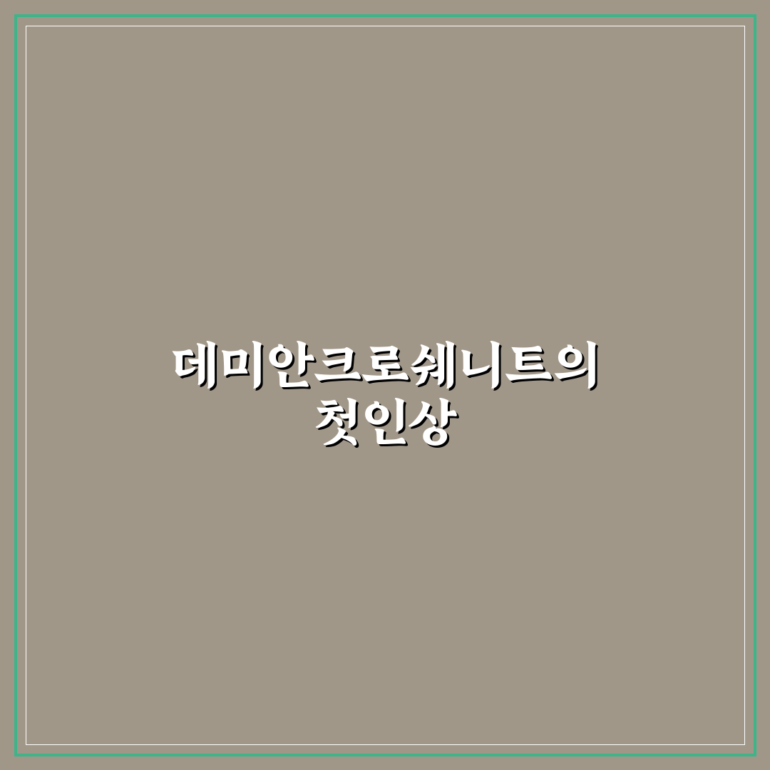 데미안크로쉐니트 사용 후기, 직접 써보니 느낀 점